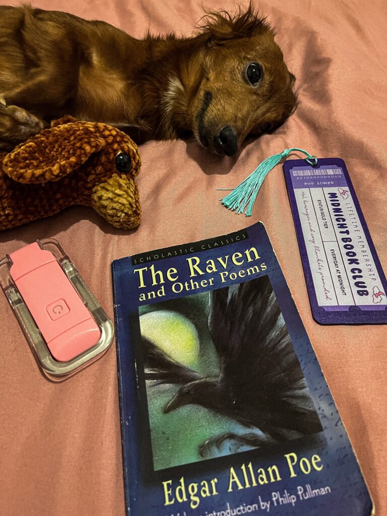 The Raven by Edgar Allan Poe